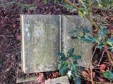 image of grave number 966134